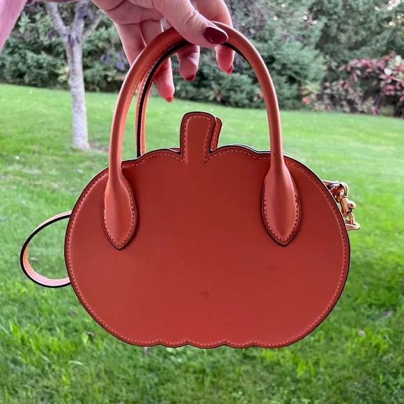 Viral coach pumpkin fall crossbody bag purse